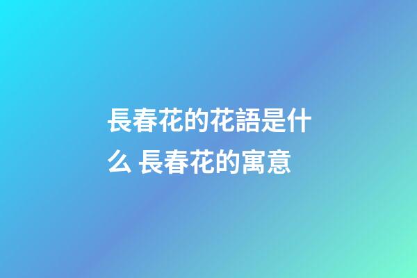 長春花的花語是什么 長春花的寓意